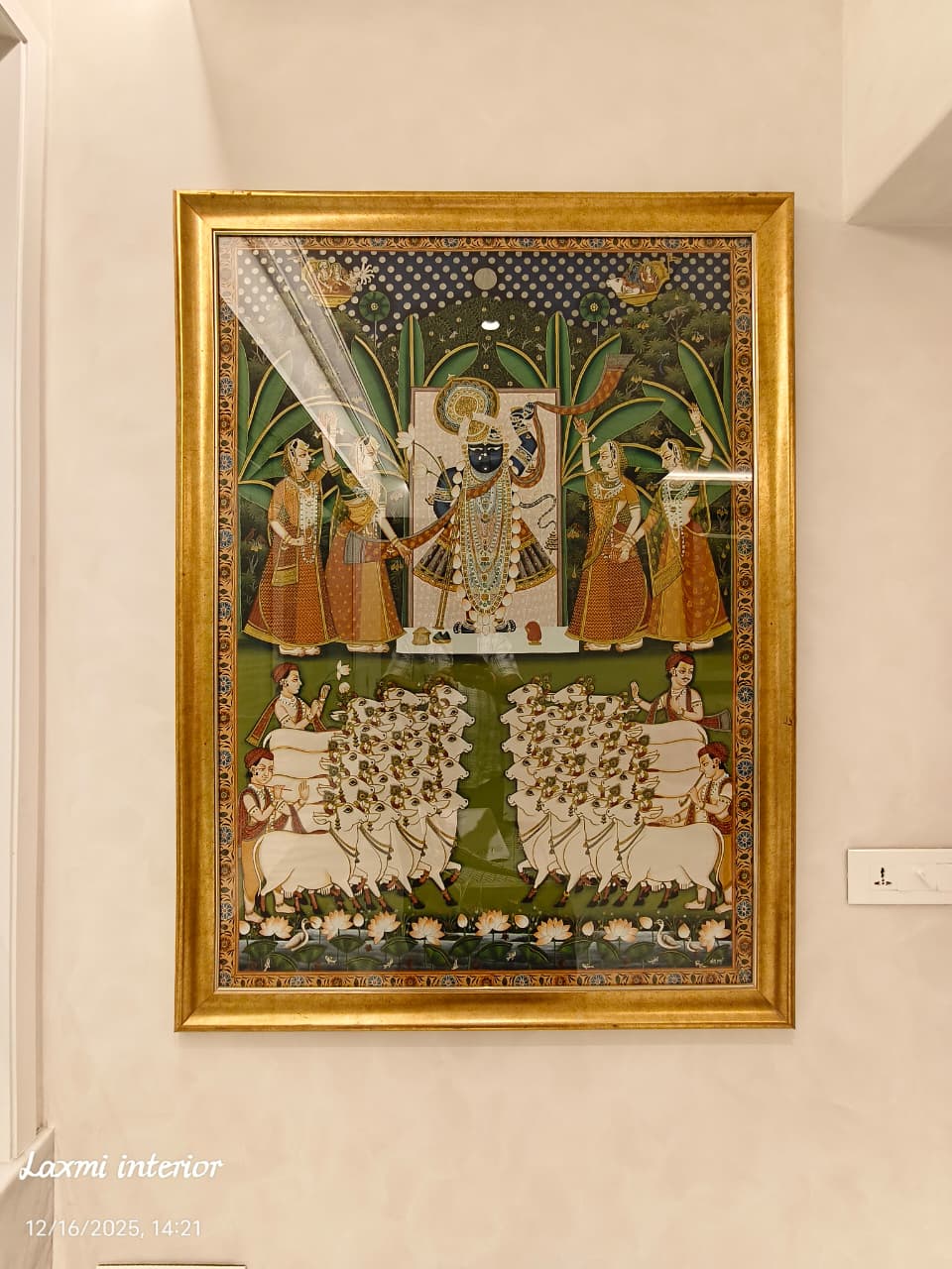 Detail View